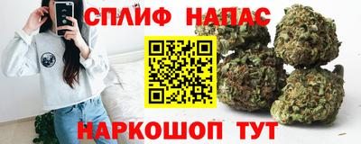 крисы Дубна